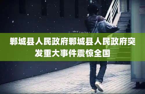郸城县人民政府郸城县人民政府突发重大事件震惊全国