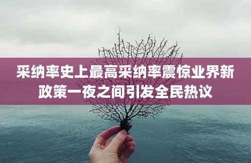 采纳率史上最高采纳率震惊业界新政策一夜之间引发全民热议