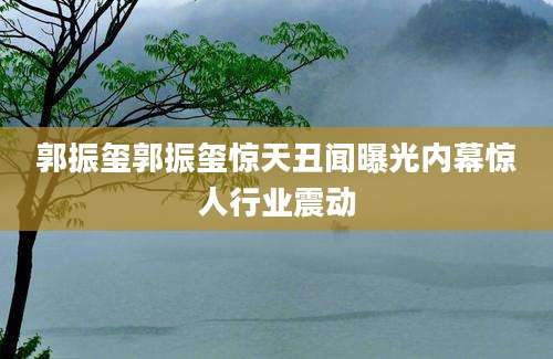 郭振玺郭振玺惊天丑闻曝光内幕惊人行业震动