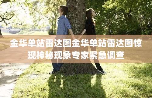 金华单站雷达图金华单站雷达图惊现神秘现象专家紧急调查