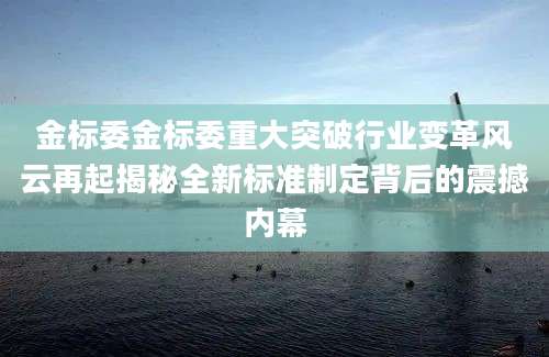 金标委金标委重大突破行业变革风云再起揭秘全新标准制定背后的震撼内幕
