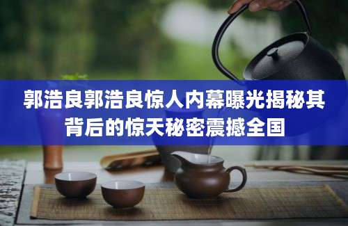 郭浩良郭浩良惊人内幕曝光揭秘其背后的惊天秘密震撼全国