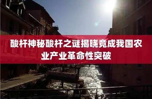 酸杆神秘酸杆之谜揭晓竟成我国农业产业革命性突破