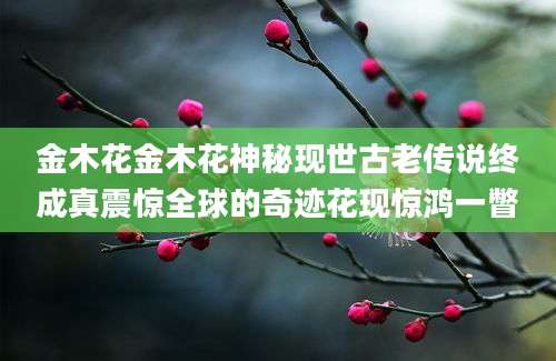 金木花金木花神秘现世古老传说终成真震惊全球的奇迹花现惊鸿一瞥
