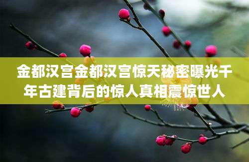 金都汉宫金都汉宫惊天秘密曝光千年古建背后的惊人真相震惊世人