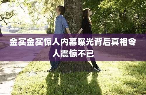 金实金实惊人内幕曝光背后真相令人震惊不已