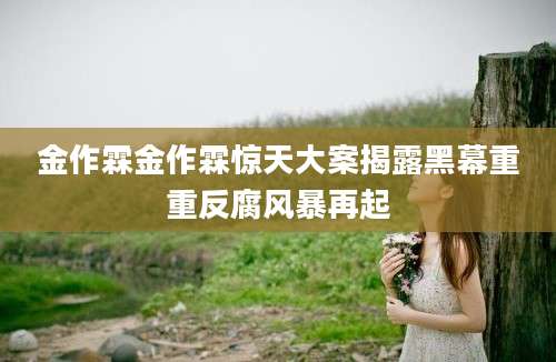 金作霖金作霖惊天大案揭露黑幕重重反腐风暴再起