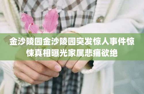 金沙陵园金沙陵园突发惊人事件惊悚真相曝光家属悲痛欲绝