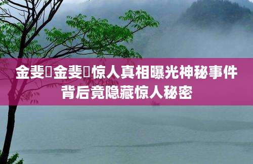 金斐姮金斐姮惊人真相曝光神秘事件背后竟隐藏惊人秘密