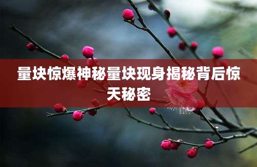量块惊爆神秘量块现身揭秘背后惊天秘密
