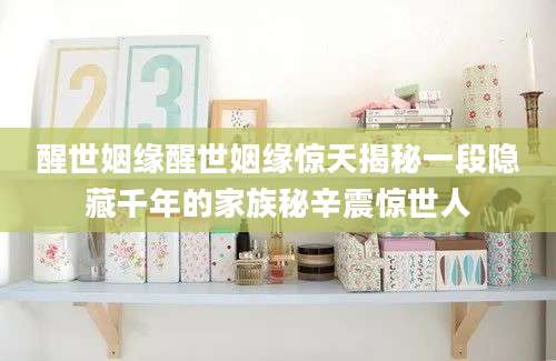 醒世姻缘醒世姻缘惊天揭秘一段隐藏千年的家族秘辛震惊世人