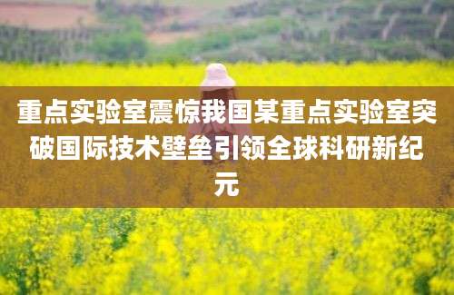 重点实验室震惊我国某重点实验室突破国际技术壁垒引领全球科研新纪元