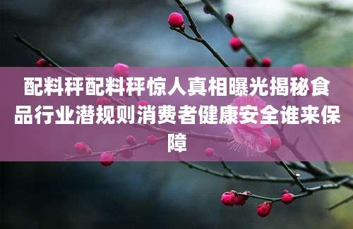 配料秤配料秤惊人真相曝光揭秘食品行业潜规则消费者健康安全谁来保障