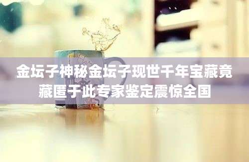金坛子神秘金坛子现世千年宝藏竟藏匿于此专家鉴定震惊全国