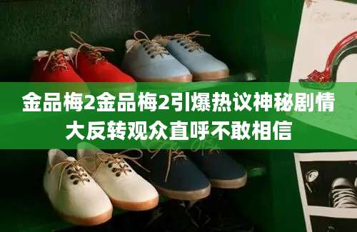 金品梅2金品梅2引爆热议神秘剧情大反转观众直呼不敢相信