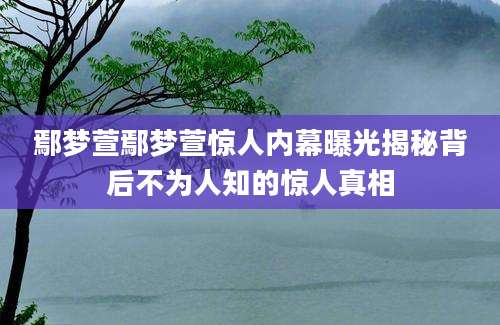 鄢梦萱鄢梦萱惊人内幕曝光揭秘背后不为人知的惊人真相