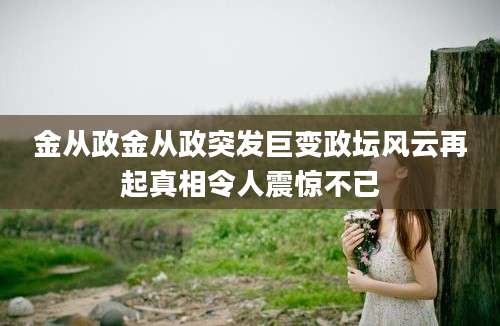 金从政金从政突发巨变政坛风云再起真相令人震惊不已