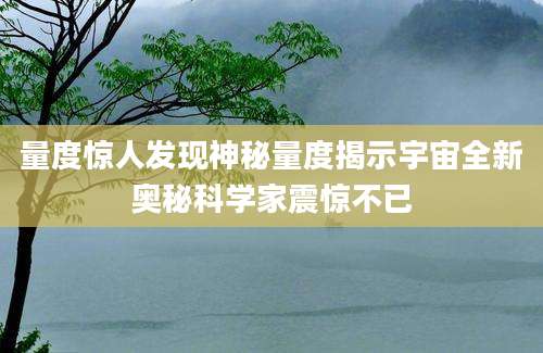 量度惊人发现神秘量度揭示宇宙全新奥秘科学家震惊不已