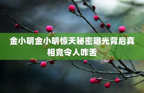 金小明金小明惊天秘密曝光背后真相竟令人咋舌