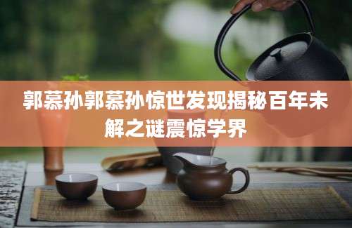 郭慕孙郭慕孙惊世发现揭秘百年未解之谜震惊学界