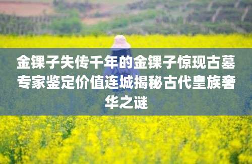 金锞子失传千年的金锞子惊现古墓专家鉴定价值连城揭秘古代皇族奢华之谜