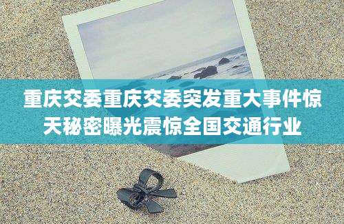 重庆交委重庆交委突发重大事件惊天秘密曝光震惊全国交通行业
