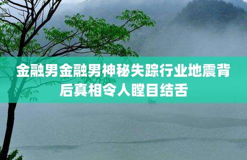 金融男金融男神秘失踪行业地震背后真相令人瞠目结舌