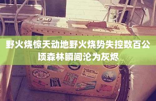 野火烧惊天动地野火烧势失控数百公顷森林瞬间沦为灰烬