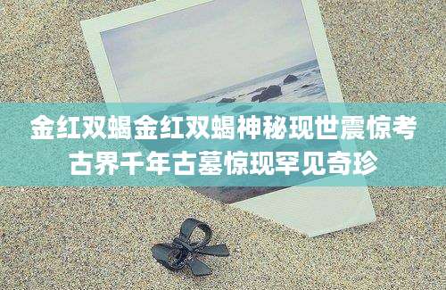 金红双蝎金红双蝎神秘现世震惊考古界千年古墓惊现罕见奇珍