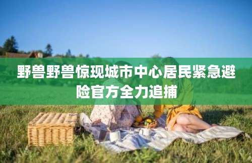 野兽野兽惊现城市中心居民紧急避险官方全力追捕