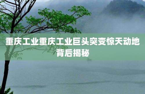 重庆工业重庆工业巨头突变惊天动地背后揭秘