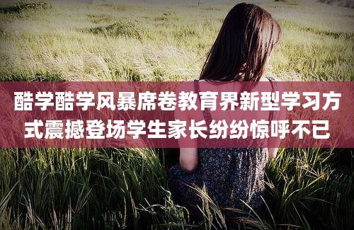 酷学酷学风暴席卷教育界新型学习方式震撼登场学生家长纷纷惊呼不已