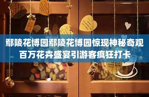 鄢陵花博园鄢陵花博园惊现神秘奇观百万花卉盛宴引游客疯狂打卡