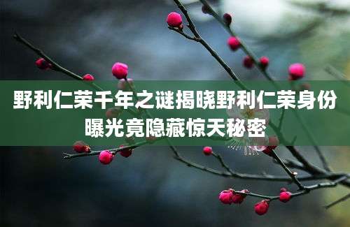 野利仁荣千年之谜揭晓野利仁荣身份曝光竟隐藏惊天秘密