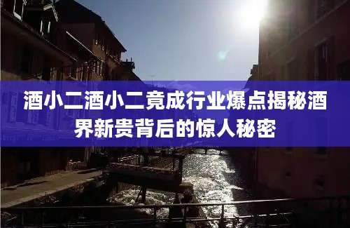 酒小二酒小二竟成行业爆点揭秘酒界新贵背后的惊人秘密