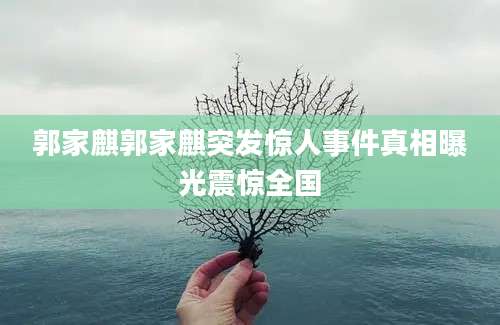 郭家麒郭家麒突发惊人事件真相曝光震惊全国