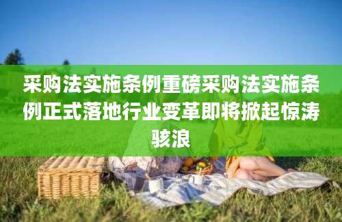 采购法实施条例重磅采购法实施条例正式落地行业变革即将掀起惊涛骇浪