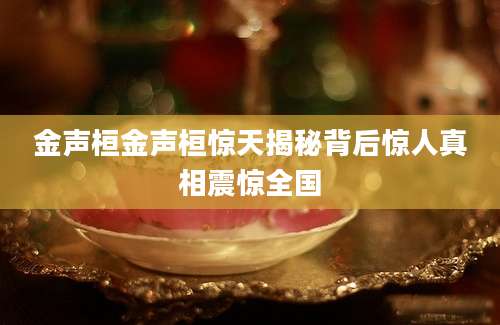 金声桓金声桓惊天揭秘背后惊人真相震惊全国
