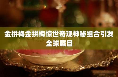 金拼梅金拼梅惊世奇观神秘组合引发全球瞩目