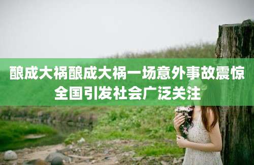 酿成大祸酿成大祸一场意外事故震惊全国引发社会广泛关注