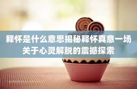 释怀是什么意思揭秘释怀真意一场关于心灵解脱的震撼探索