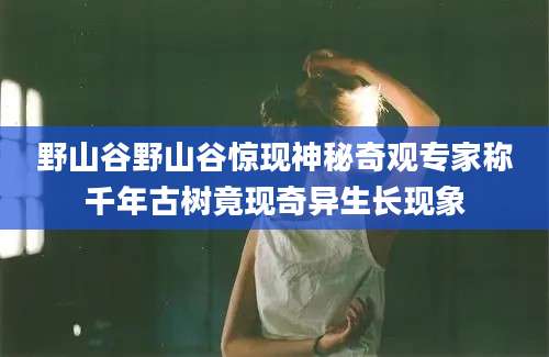 野山谷野山谷惊现神秘奇观专家称千年古树竟现奇异生长现象