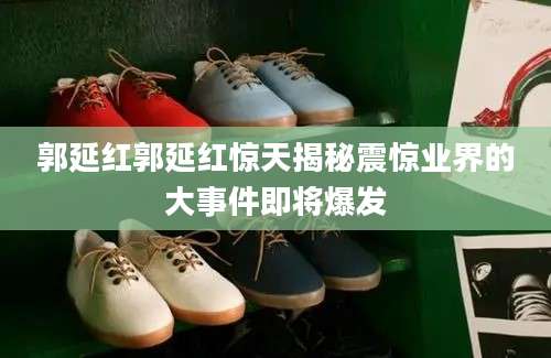 郭延红郭延红惊天揭秘震惊业界的大事件即将爆发