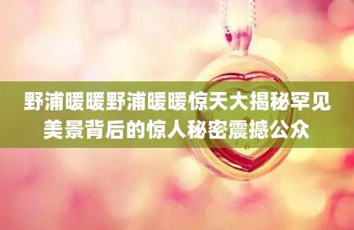 野浦暖暖野浦暖暖惊天大揭秘罕见美景背后的惊人秘密震撼公众