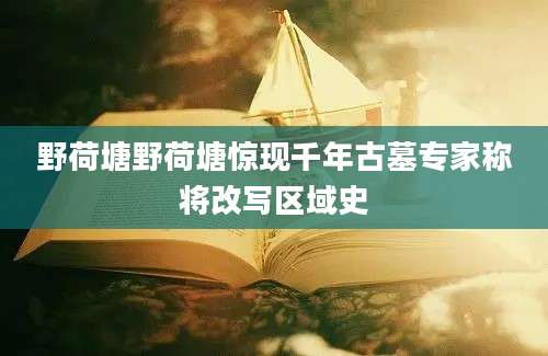 野荷塘野荷塘惊现千年古墓专家称将改写区域史