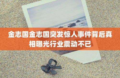 金志国金志国突发惊人事件背后真相曝光行业震动不已