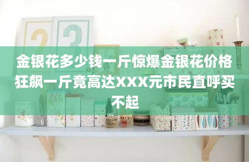 金银花多少钱一斤惊爆金银花价格狂飙一斤竟高达XXX元市民直呼买不起