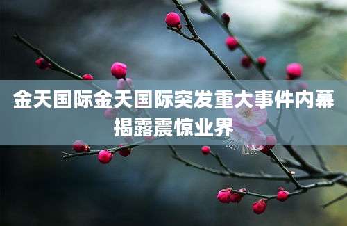 金天国际金天国际突发重大事件内幕揭露震惊业界