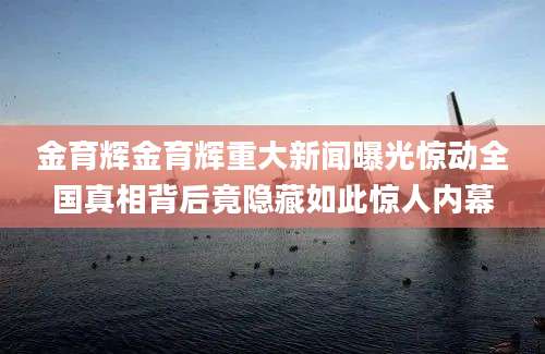 金育辉金育辉重大新闻曝光惊动全国真相背后竟隐藏如此惊人内幕