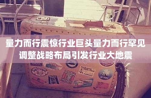 量力而行震惊行业巨头量力而行罕见调整战略布局引发行业大地震